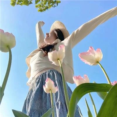 加斯帕·莫雷罗神秘探险记